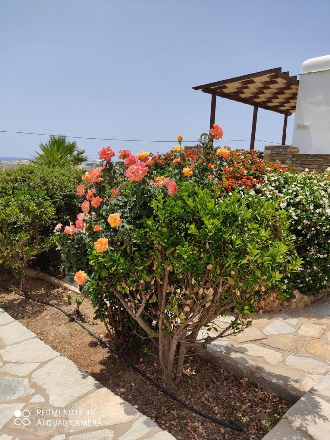 Aigaio Apartment
